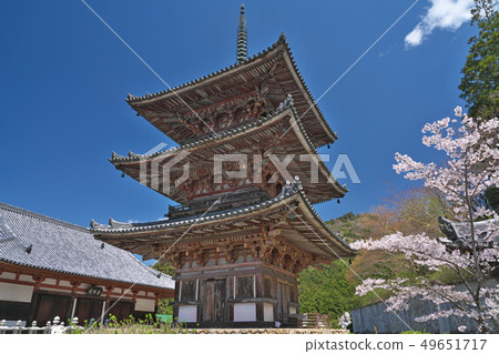 [Tsubosaka Temple Triple Tower] Tsubosaka, Takatori-cho, Takashi-gun, Nara Prefecture 49651717
