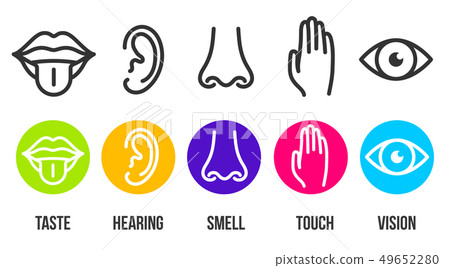 Creative illustration line icon set of five human senses. Vision, hearing, smell, touch, taste 49652280