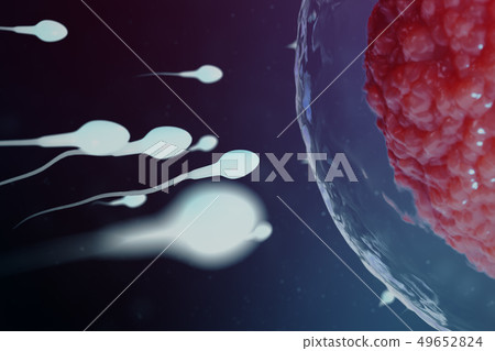 3D illustration sperm and egg cell, ovum. Sperm approaching egg cell. Native and natural 49652824
