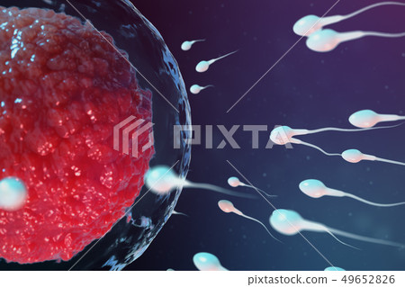 3D illustration sperm and egg cell, ovum. Sperm approaching egg cell. Native and natural 49652826