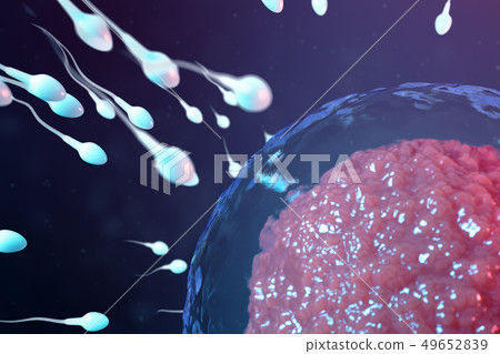 3D illustration sperm and egg cell, ovum. Sperm approaching egg cell. Native and natural 49652839