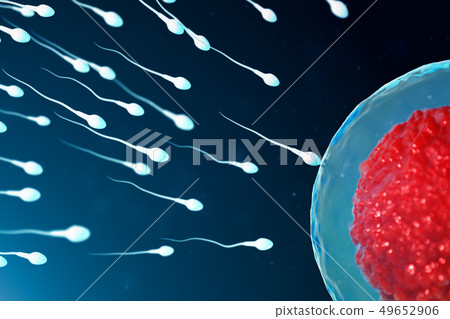 3D illustration sperm and egg cell, ovum. Sperm approaching egg cell. Native and natural 3D illustration sperm and egg cell, ovum. Sperm approaching egg cell. Native and natural 49652906