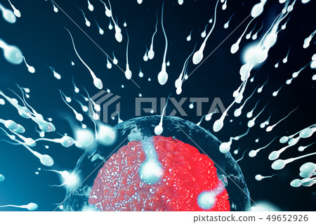 3D illustration sperm and egg cell, ovum. Sperm approaching egg cell. Native and natural 49652926