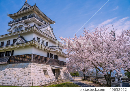 Kawara Castle where the cherry blossoms are in full bloom Kawara Castle where the cherry blossoms are in full bloom 49652932