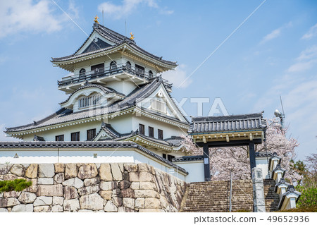 櫻花盛開的川原城 櫻花盛開的川原城 49652936