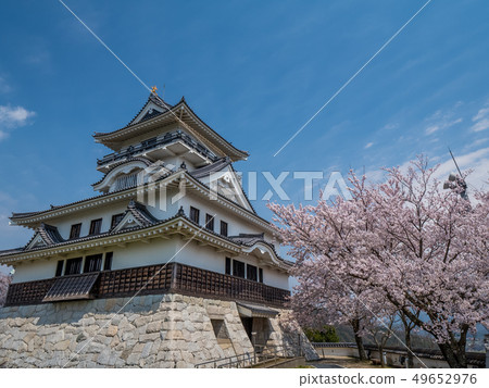 櫻花盛開的川原城 櫻花盛開的川原城 49652976