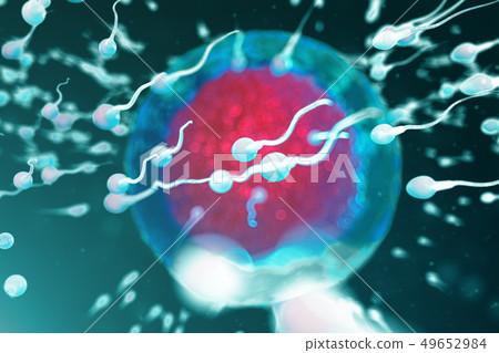 3D illustration sperm and egg cell, ovum. Sperm approaching egg cell. Native and natural 49652984