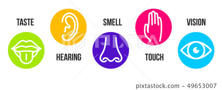 Creative illustration line icon set of five human senses. Vision, hearing, smell, touch, taste Creative illustration line icon set of five human senses. Vision, hearing, smell, touch, taste 49653007