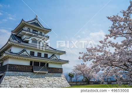 櫻花盛開的川原城 櫻花盛開的川原城 49653008