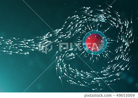 3D illustration sperm and egg cell, ovum. Sperm approaching egg cell. Native and natural 49653009