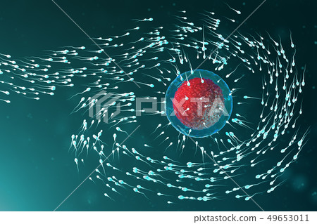 3D illustration sperm and egg cell, ovum. Sperm approaching egg cell. Native and natural 49653011