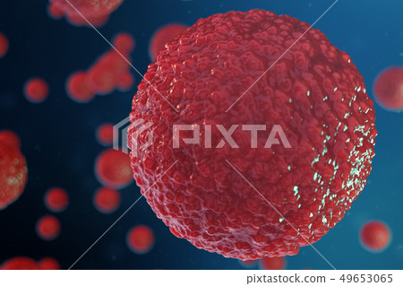 3D illustration egg cells embryo. Embryo cells with red nucleus in center. Human or animal egg cells 49653065