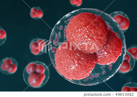 3D illustration egg cells embryo. Embryo cells with red nucleuses in center. Human or animal egg 3D illustration egg cells embryo. Embryo cells with red nucleuses in center. Human or animal egg 49653082
