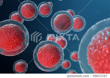 3D illustration egg cells embryo. Embryo cells with red nucleus in center. Human or animal egg cells 49653167