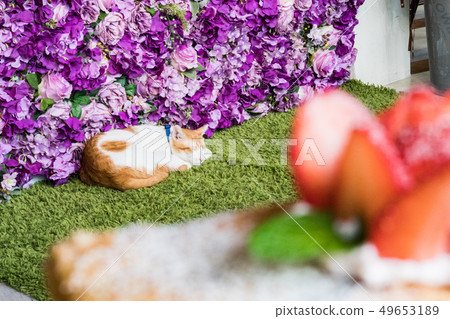 Delicious grass syrup 糕來来 Japan. The top surface of the rice cake is fresh and fresh. Delicious grass syrup 糕來来 Japan. The top surface of the rice cake is fresh and fresh. 49653189