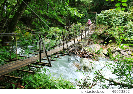 A way to the Southern Alps Mitsutake A way to the Southern Alps Mitsutake 49653892