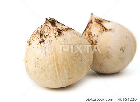 Roasted Young Coconut on white background. Roasted Young Coconut on white background. 49654220