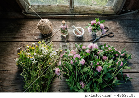 Pink clover, daisies and hypericum flowers. 49655195