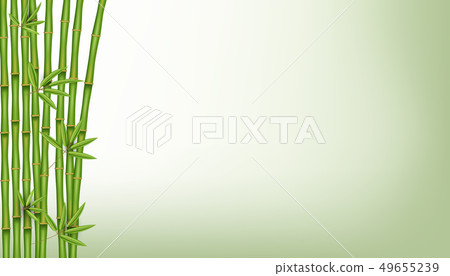 Creative illustration of chinese bamboo grass tree. Tropical asian plant art design. Abstract Creative illustration of chinese bamboo grass tree. Tropical asian plant art design. Abstract 49655239