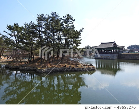 Gyeongju Donggung和Waji（Anapji） 49655270