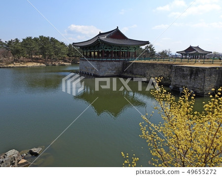 Gyeongju Donggung和Waji（Anapji） 49655272