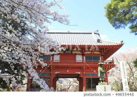 Nijomon Temple and cherry blossoms at Konjoin Temple 49655448