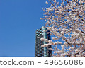 櫻花和建築 49656086