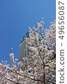 櫻花和建築 49656087
