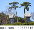 Spring of Yangsan Tongdosa 49656516