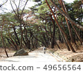 Yangsan Tongdosa Temple 49656564