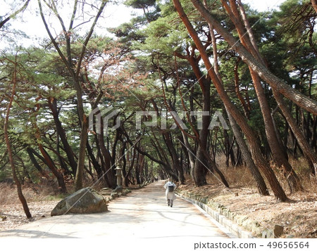 梁山通多寺 49656564