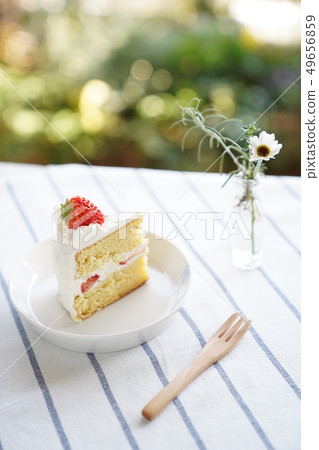 strawberry shortcake strawberry shortcake 49656859
