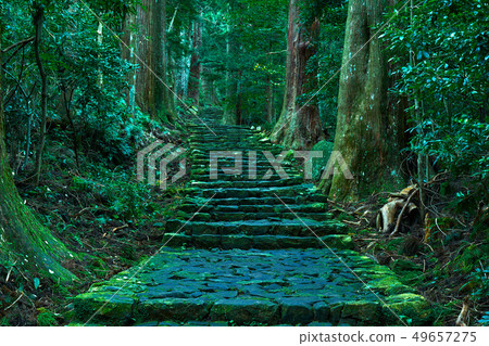 Kumano Kodo Daimonzaka 49657275