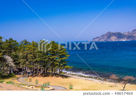 (Shizuoka Prefecture) Spring Nishi Izu Koganesaki Park 49657469