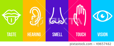 Creative illustration line icon set of five human senses. Vision, hearing, smell, touch, taste Creative illustration line icon set of five human senses. Vision, hearing, smell, touch, taste 49657482