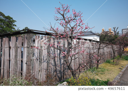 Entrance of Wataruseien 49657611