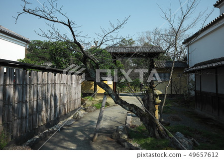 Wataruseien入口 49657612