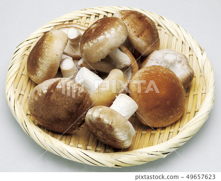 香菇01_與切口路徑 香菇01_與切口路徑 49657623