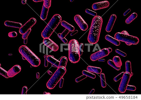大腸桿菌的插圖（計算機圖形） 49658184