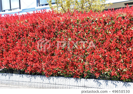 Kaname備忘錄（必填） 49658530