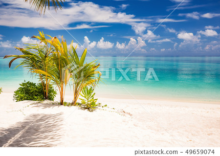 Beautiful sunny ocean beach Beautiful sunny ocean beach 49659074