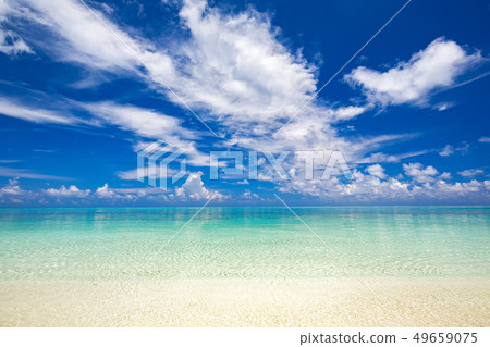 Beautiful sunny ocean beach Beautiful sunny ocean beach 49659075