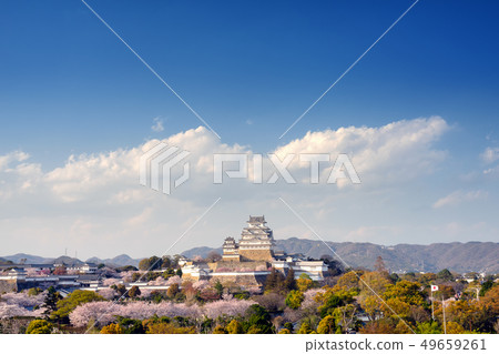Himeji Castle in full bloom with cherry blossoms Himeji Castle in full bloom with cherry blossoms 49659261