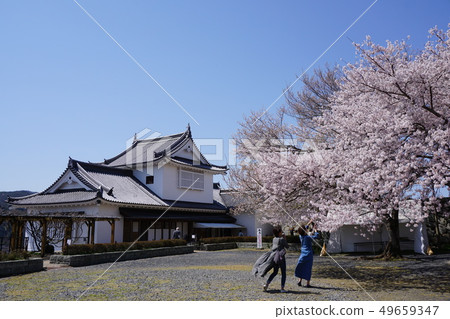 鶴山公園(津山城堡),岡山縣津山市100個最著名的櫻花景點之一:盛開的主要圓圈 鶴山公園(津山城堡),岡山縣津山市100個最著名的櫻花景點之一:盛開的主要圓圈 49659347