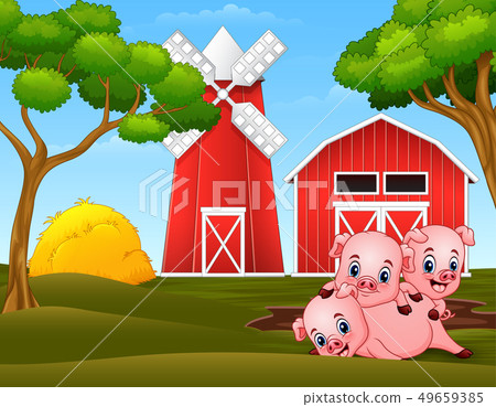 Three little pigs are playing at the farm 49659385