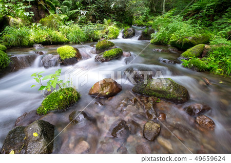 大山桐生新鮮綠色 49659624