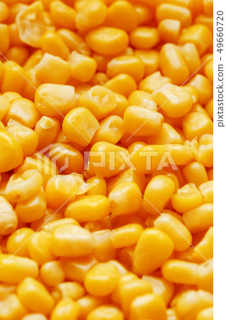 Golden canned corn, as distributed on a plane Golden canned corn, as distributed on a plane 49660720