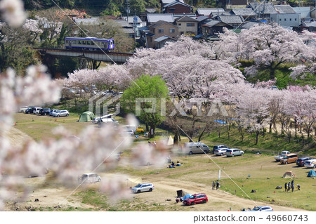Sakura and Kiha 120 49660743