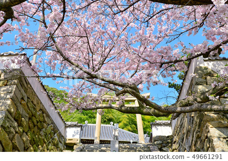 A dojo A dojo 49661291