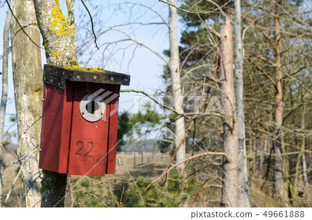 Red bird house in a tree Red bird house in a tree 49661888